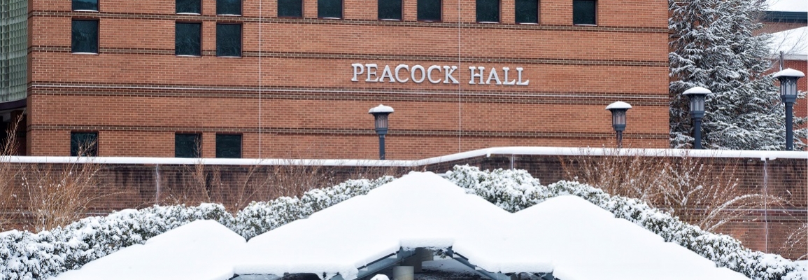 Peacock Hall in Snow